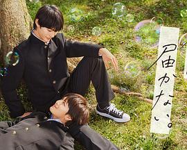 长治网站网络推广优化